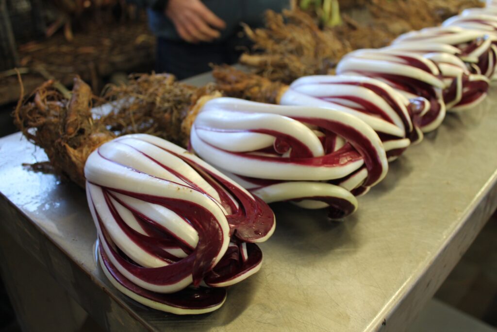 Curiosità di Treviso