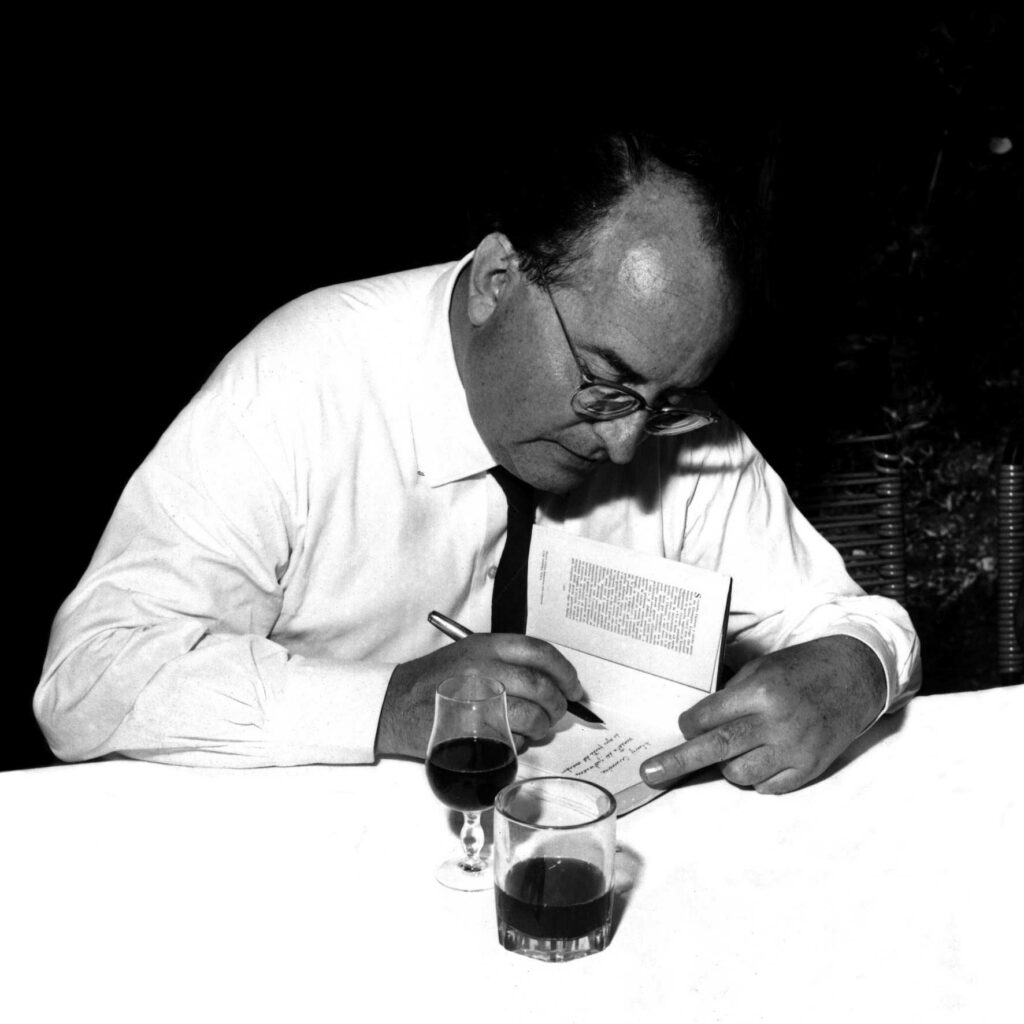 Giuseppe Mazzotti ville venete palladio