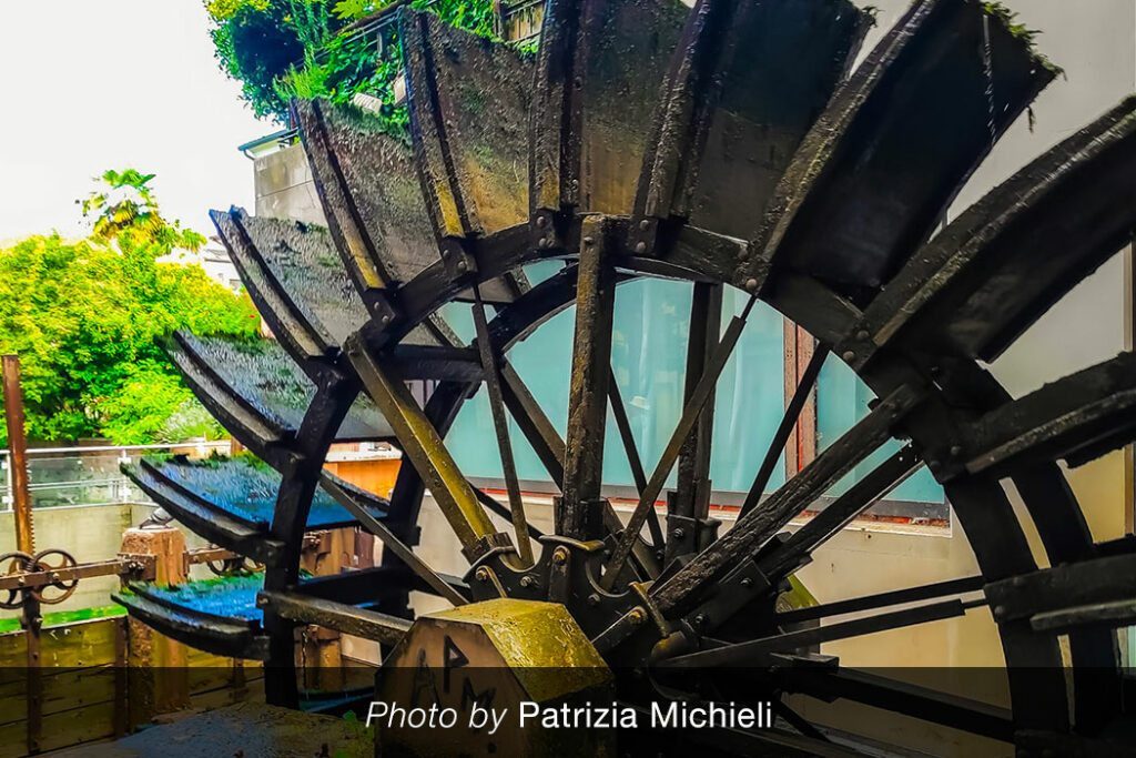 mulino-pescheria-patrizia-michieli-3