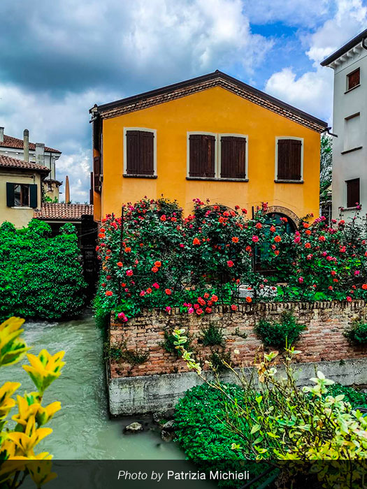 visita guidata di Treviso